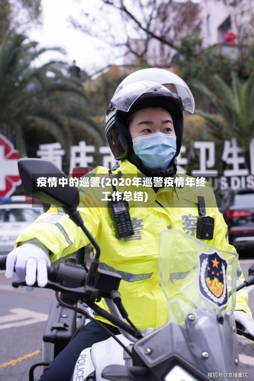 疫情中的巡警(2020年巡警疫情年终工作总结)-第3张图片