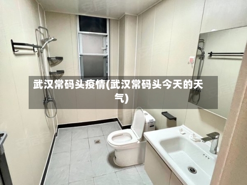 武汉常码头疫情(武汉常码头今天的天气)